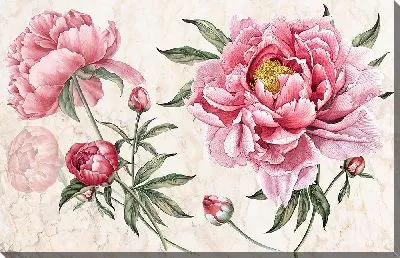 Картина маслом Цветы пионы