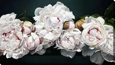 Картина маслом Красивая композиция из белоснежных пионов