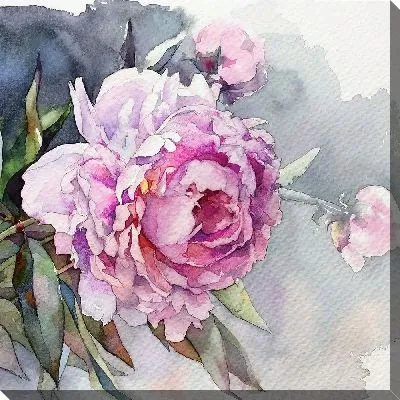 Картина маслом Пионы в акварельной технике