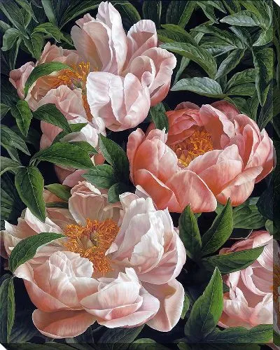 Картина маслом Бутоны пионов с листьями