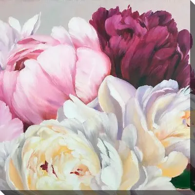Картина маслом Пионы №17