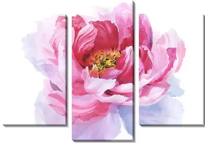 Модульная картина Цветок Пион №2