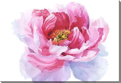 Картина маслом Цветок Пион №2