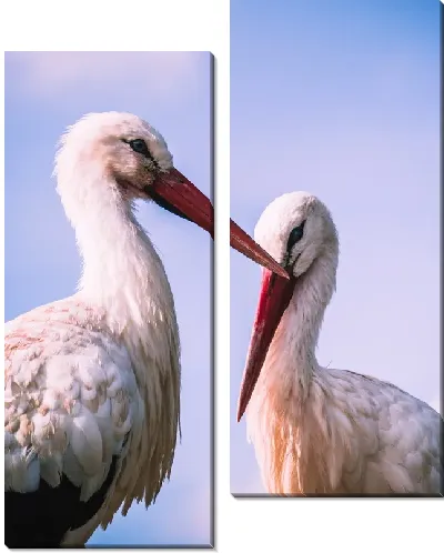 Модульная картина Аисты