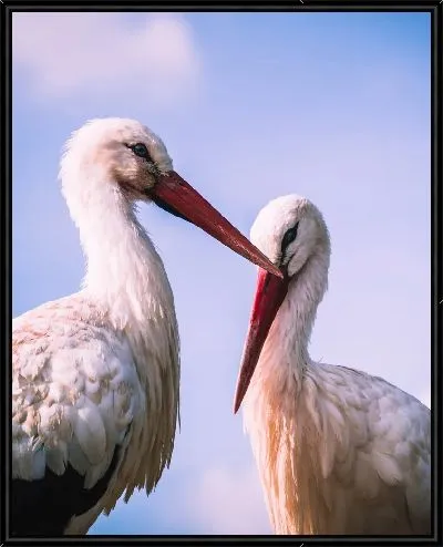 Картина Аисты