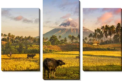 Модульная картина Спокойная жизнь на фоне спящего вулкана