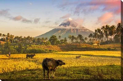 Спокойная жизнь на фоне спящего вулкана