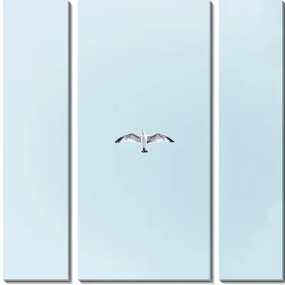 Модульная картина Одинокая чайка в полете