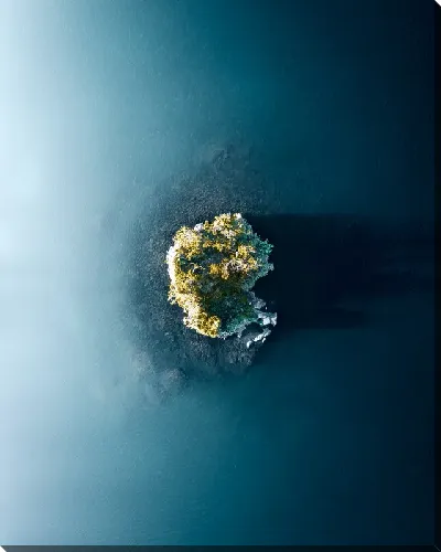 картина