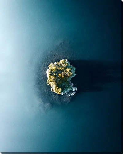 картина