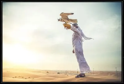 Картина Сокол на руке