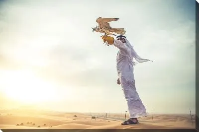 Сокол на руке