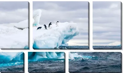 Модульная картина Пингвины на айсберге
