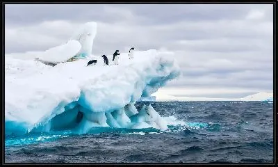 Пингвины на айсберге