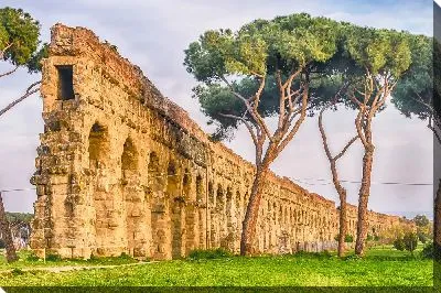 Акведук и сосны Пиния