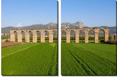 Модульная картина Акведук и зеленое поле