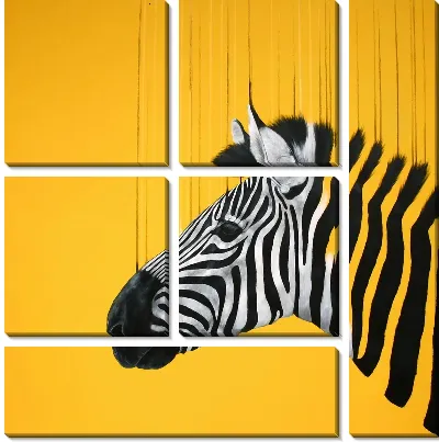 Зебра в желтых тонах