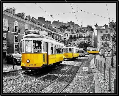 Картина Три желтых трамвая