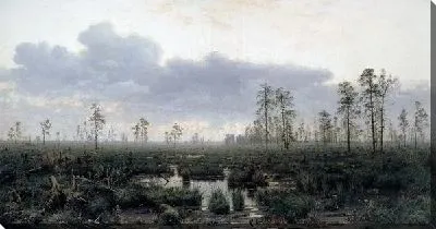 Картина Утро на болоте (Morning in the swamp)