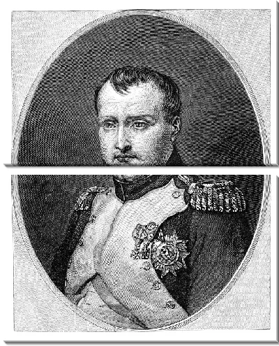 Модульная картина Портрет Наполеона (в овале)