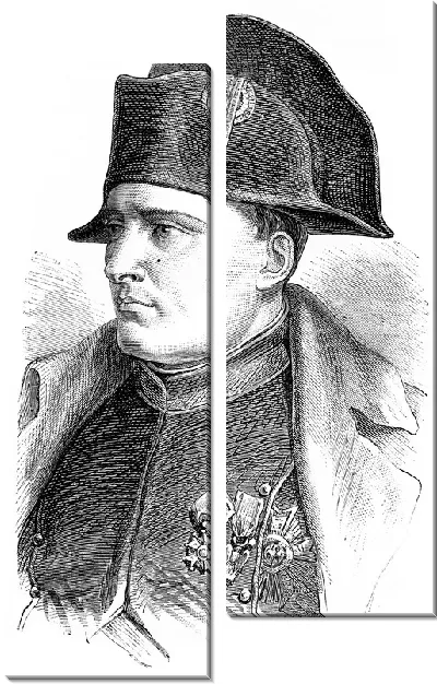 Модульная картина Наполеон