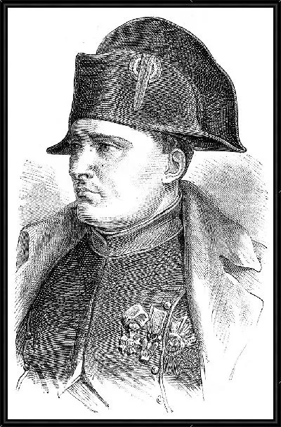 Картина Наполеон