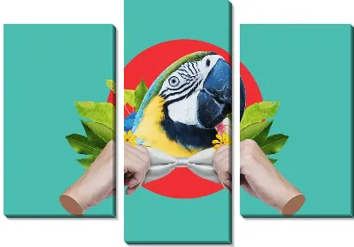 Модульная картина Попугай - джентльмен