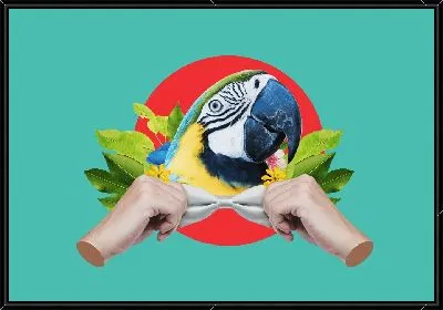 Попугай - джентльмен