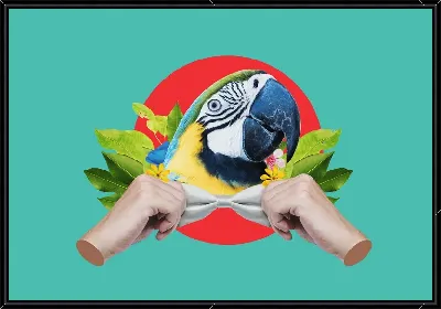 картина