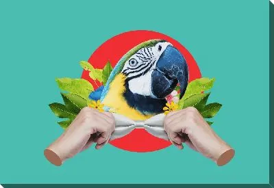 Попугай - джентльмен