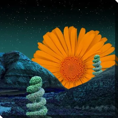 Постер Оранжевая гербера за горами