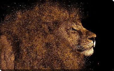 Картина маслом Оттряхивающийся лев