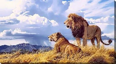 Картина маслом Лев и львица №4