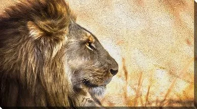 Картина маслом Лев смотрит вдаль