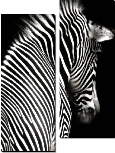 Модульная картина Зебра отвернулась