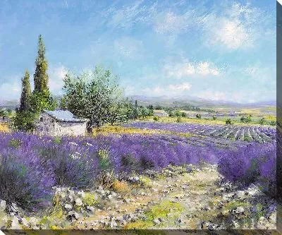 Картина маслом Поля лаванды днем