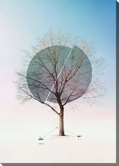 Постер Две половинки целого дерева