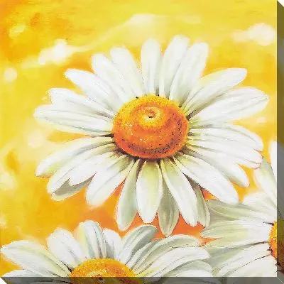 Картина маслом Ромашка с лепестками на желтом фоне