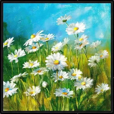 Картина Ромашковое поле