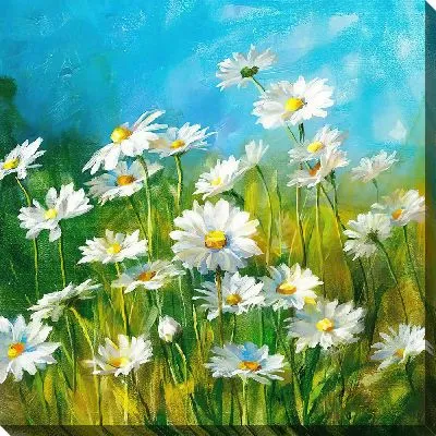 Постер Ромашковое поле