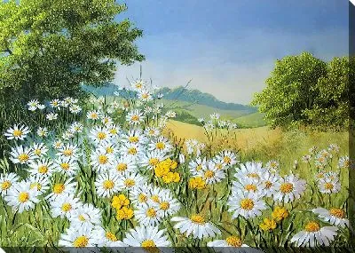 Объемные ромашки в поле