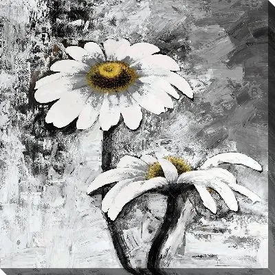 Постер Две ромашки