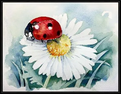 Божья коровка на ромашке