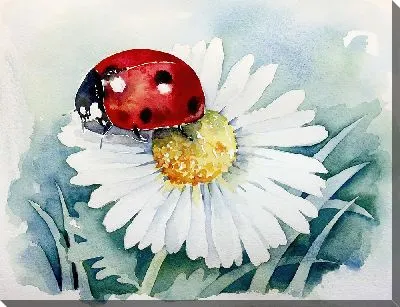 Божья коровка на ромашке