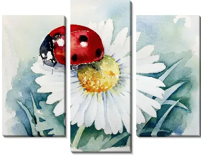 Божья коровка на ромашке