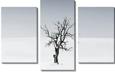 Модульная картина Одинокое дерево в снегу