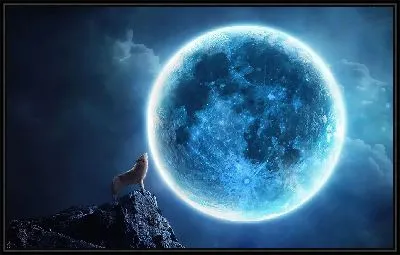 Картина Волк воет на Луну №3