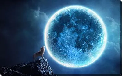 Постер Волк воет на Луну №3