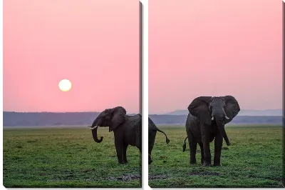 Модульная картина Два слона на закате