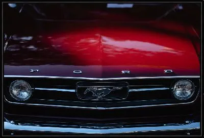 Картина Капот FORD